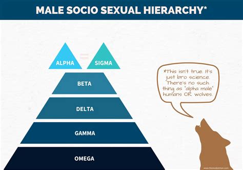 alpha beta and omega males|opposite of alpha male.